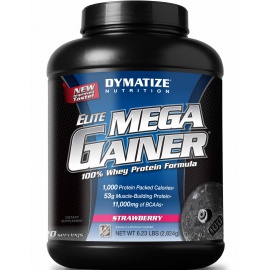 Elite Mega Gainer от Dymatize